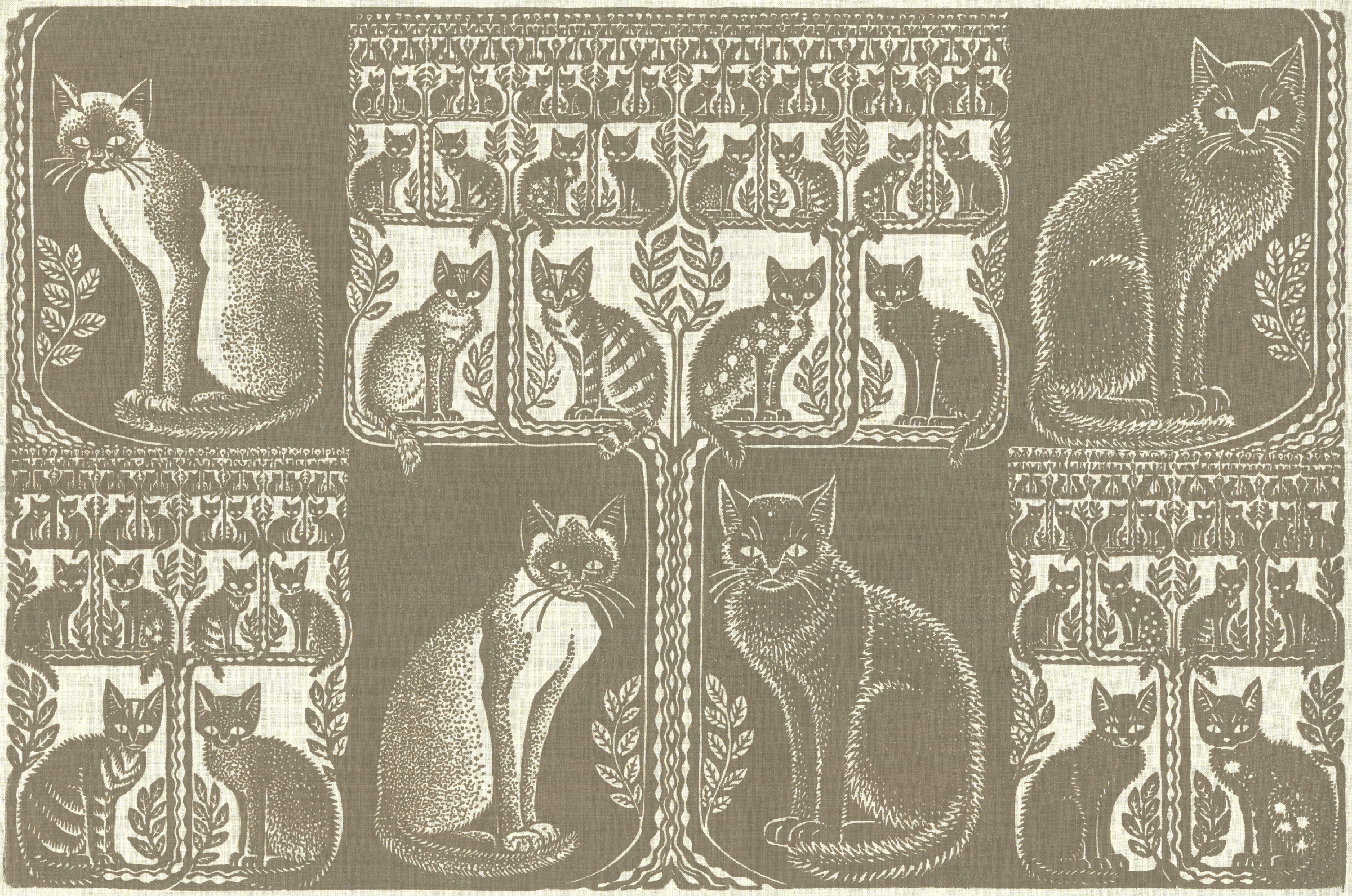 Zaidee and her Kittens